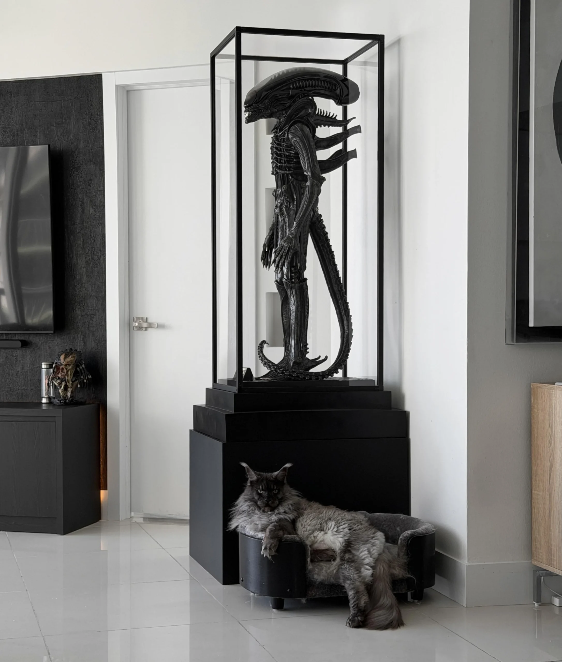 Parete TV nera e collezione horror: un soggiorno bianco e nero dove una sola vetrina fa da protagonista