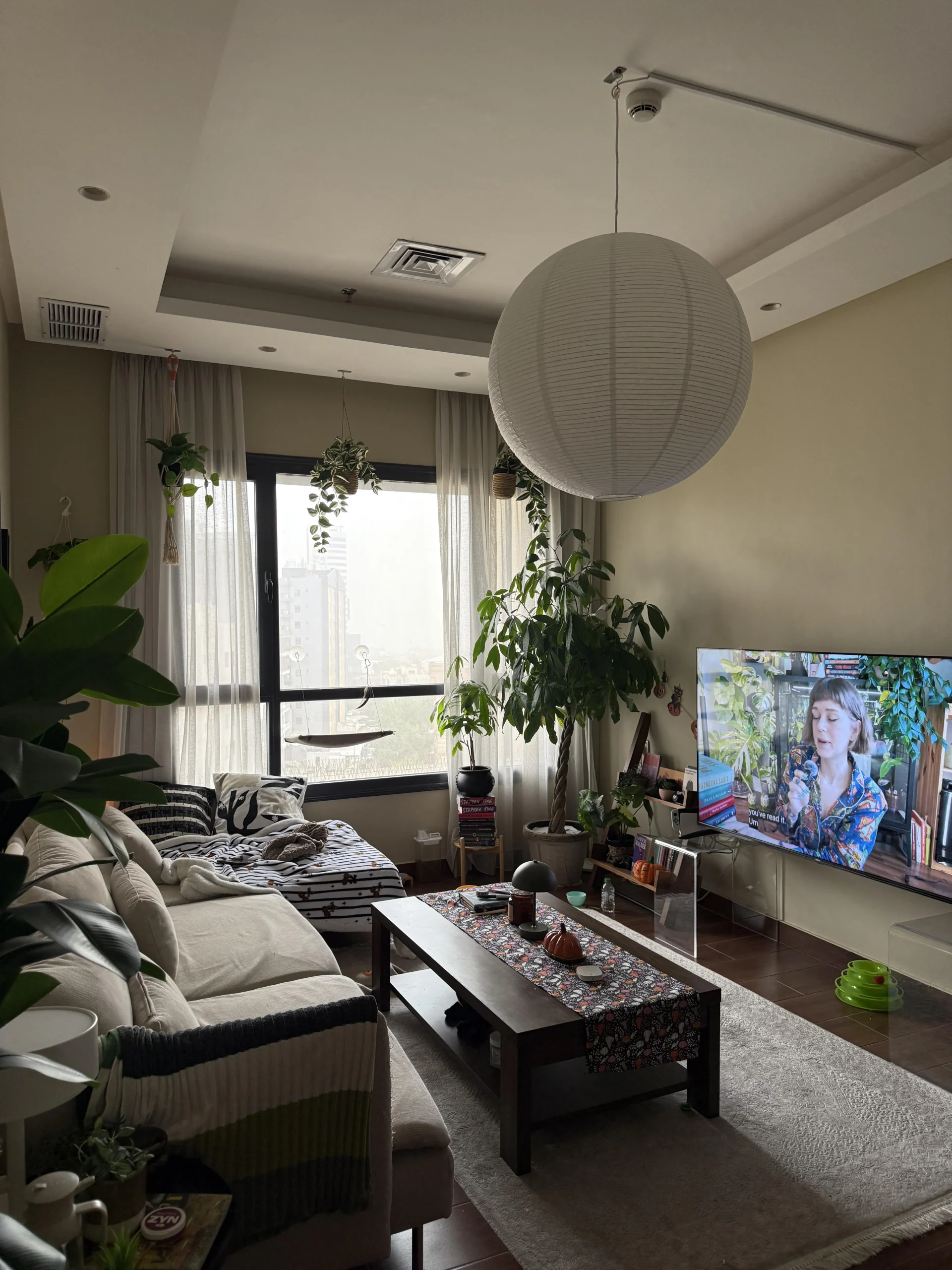 Piante sospese in casa: il soffitto verde che rende accogliente il soggiorno nelle giornate grigie